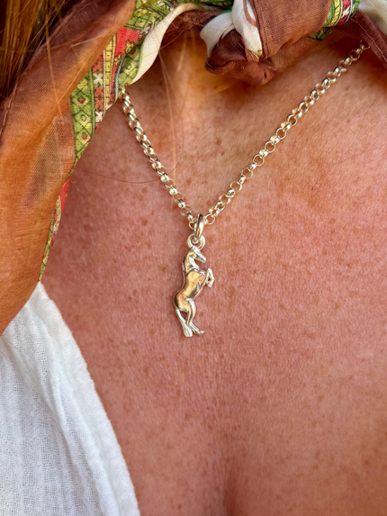 Chance Horse Charm Necklace