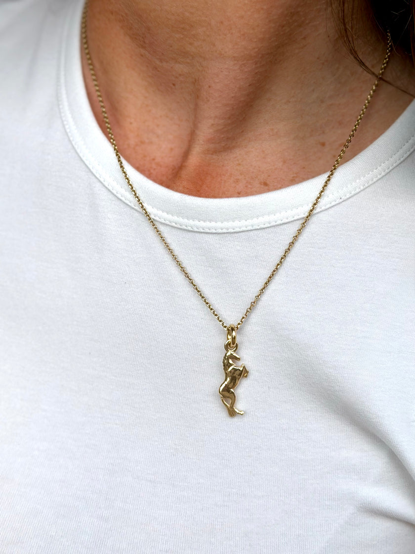 9 Carat Gold Chance Horse Necklace