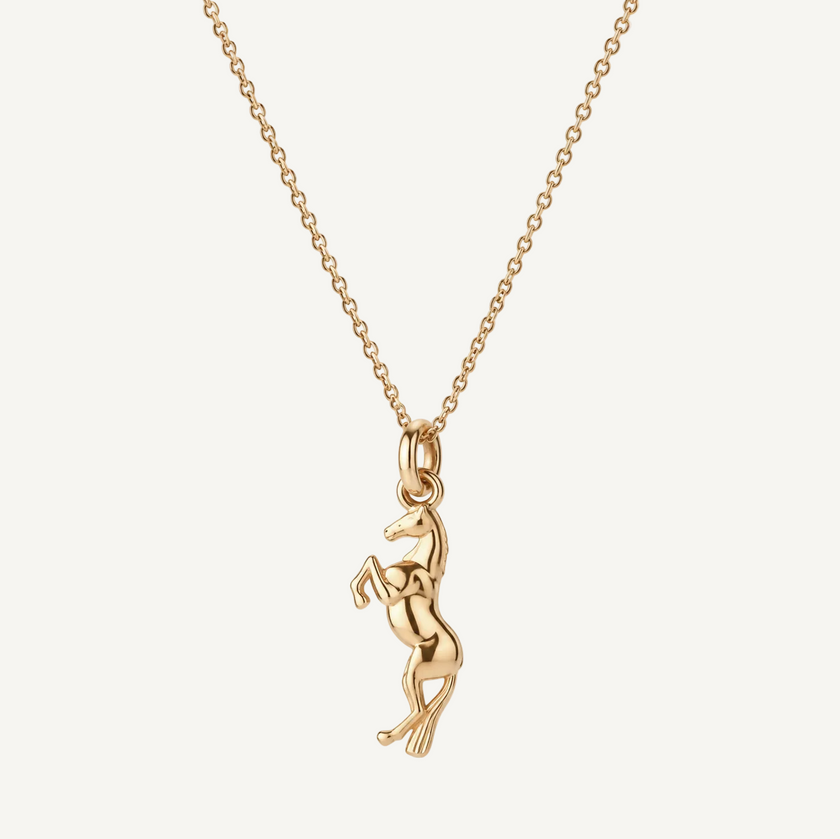 9 Carat Gold Chance Horse Necklace