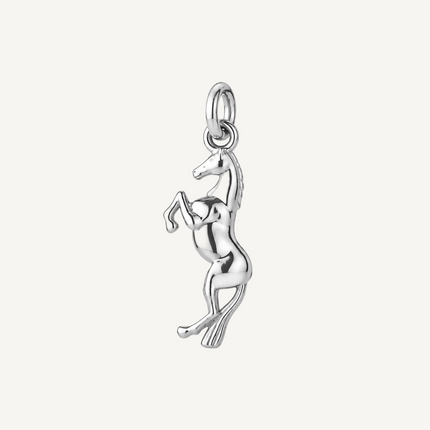 Chance Horse Charm