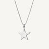 Stellar Star