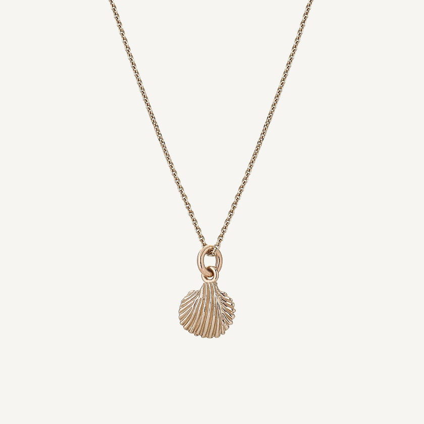 9 Carat Trace Chain & Sea Shell