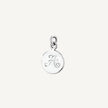 Scroll Charm