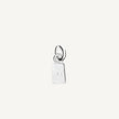 Tiny Tag Charm
